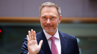 Lindner sieht endg&uuml;ltiges Aus der Atomkraft in Deutschland gekommen