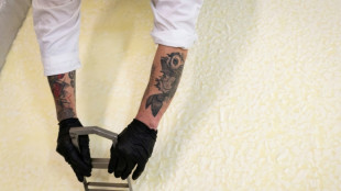 "Made in prison": en Bulgarie, on s'arrache les fromages des détenus