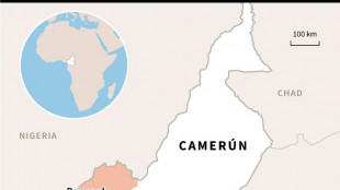 Un ataque de separatistas en Camer&uacute;n deja una veintena de muertos