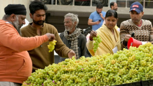 Produ&ccedil;&atilde;o mundial de vinho caiu 10% em 2023
