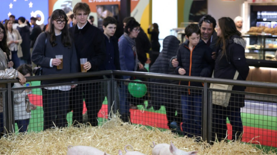 Sans bovins, la fr&eacute;quentation du Salon de l'agriculture en chute d'un quart les quatre premiers jours