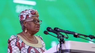 WTO-Verhandlungen ohne Ergebnis beendet - Zollmoratorium f&uuml;r Digitales l&auml;uft aus