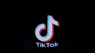 &Aacute;ustria proibir&aacute; TikTok nos celulares de uso profissional do governo
