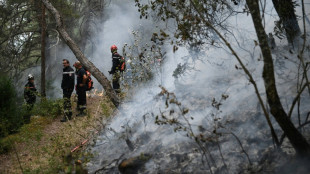 Tausende Menschen vor neuem Waldbrand in S&uuml;dfrankreich in Sicherheit gebracht