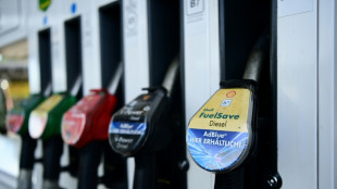 Kartellamt kritisiert h&auml;ufige Preisschwankungen an Tankstellen