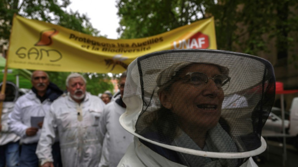 Des apiculteurs manifestent contre les pesticides &agrave; Toulouse et Bordeaux