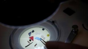 De l'Elbe à l'Ebre, les grands fleuves européens envahis par les microplastiques