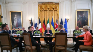 Putin y Zelenski parecen listos para cumbre de paz tras conversaciones con Trump