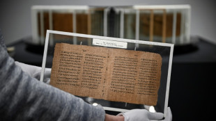 'Um dos livros mais antigos' do mundo &eacute; leiloado por 3,06 milh&otilde;es de libras