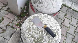 Aggredita a colpi di mannaia dal suocero in strada, grave una donna