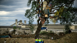 A69: un dernier bastion d'"écureuils" sur le chemin de la future autoroute