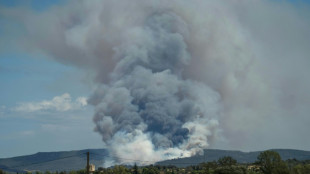Incendio en Francia obliga a cerrar aeropuerto de Marsella
