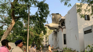 Ein &Uuml;berlebender nach Flugzeugabsturz in Indien  