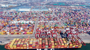 WTO: Welthandel k&ouml;nnte 2025 wegen US-Z&ouml;llen um bis zu 1,5 Prozent zur&uuml;ckgehen