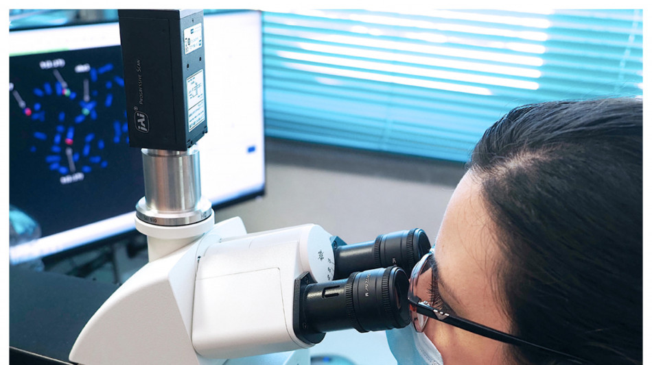 Il cervello femminile &egrave; pi&ugrave; plastico, i test al risveglio dall'anestesia