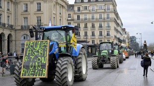 Governo da Fran&ccedil;a &eacute; pressionado a responder &agrave; insatisfa&ccedil;&atilde;o dos agricultores