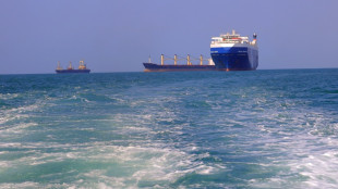 As repercuss&otilde;es da tens&atilde;o no Mar Vermelho na economia global