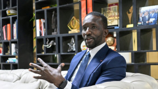 Ivory Coast eyes 'national champion' firms to lead economy