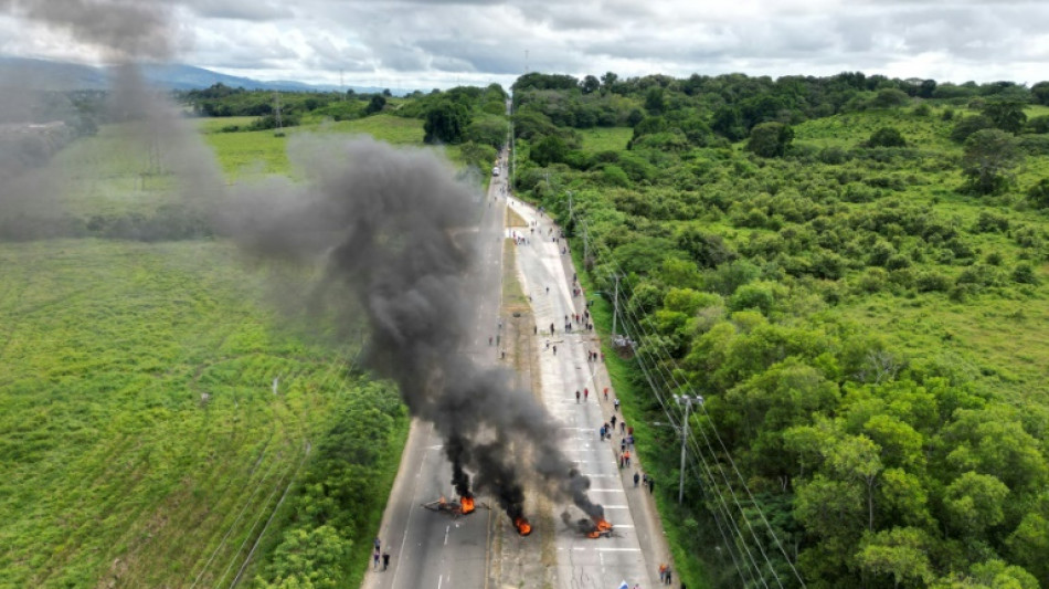 Un hombre mata a tiros a dos manifestantes en protesta contra mina en Panam&aacute;