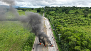 Un hombre mata a tiros a dos manifestantes en protesta contra mina en Panam&aacute;