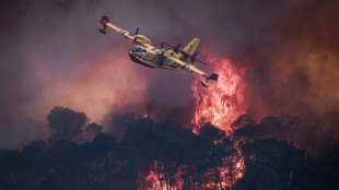 Deadly wildfires in Europe force thousands to flee