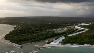 Muro 'anti-Haiti', uma bandeira eleitoral na Rep&uacute;blica Dominicana 