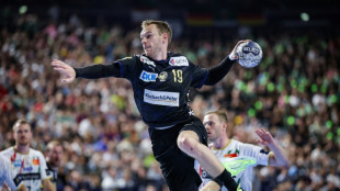 Unos ladrones funden el trofeo del campe&oacute;n de Alemania de balonmano