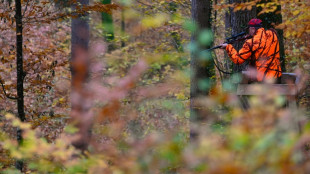 50-J&auml;hriger stirbt in Th&uuml;ringen nach Jagdunfall