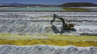 Chile espera desenvolver at&eacute; cinco novos projetos de l&iacute;tio em dois anos