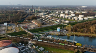 Mideast war to brake German recovery: institute