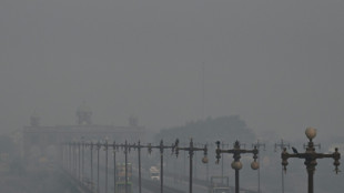 Climat: des plans très loin de la bonne trajectoire pour respecter l'accord de Paris