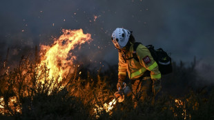 Au Portugal, le "feu des anc&ecirc;tres" pour r&eacute;apprendre la lutte contre les incendies