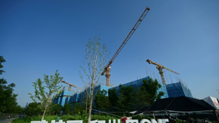 China developer Country Garden reports $6.7 bn half-year losses