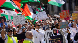 Miles de personas participan de una manifestaci&oacute;n propalestina en Copenhague