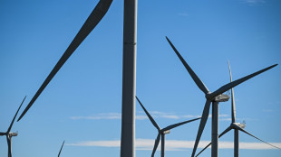 Energie: "des filières entières vont licencier" en cas de moratoire sur les renouvelables, selon Ferracci