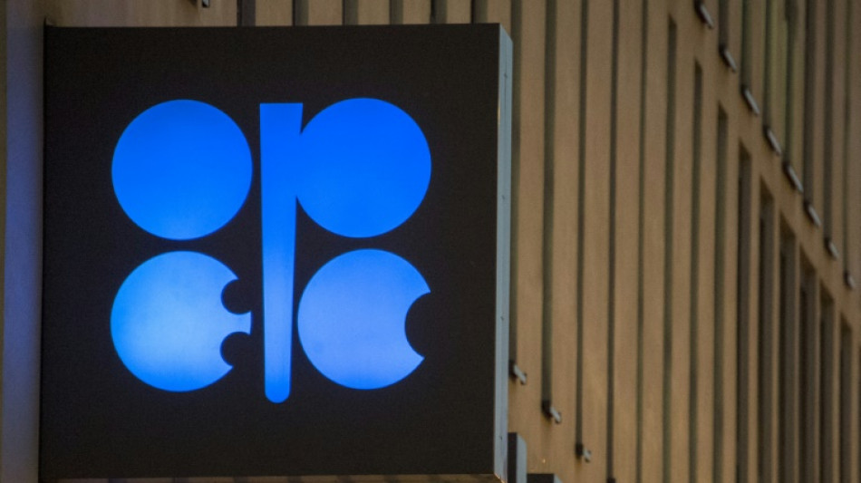 OPEP+, um cartel do petr&oacute;leo que perde poder