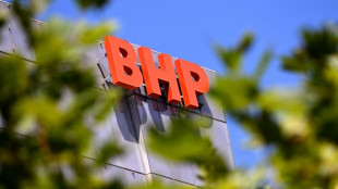 Mineradora Anglo American dispara na bolsa ap&oacute;s oferta de compra pela BHP