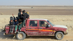 EEUU otorga "protecci&oacute;n temporal" de deportaci&oacute;n a afganos instalados en su territorio