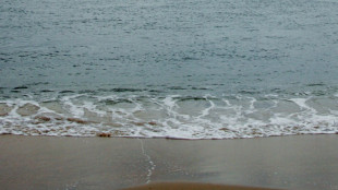 Les milliards de tonnes de sable arrach&eacute;es &agrave; la mer menacent l'environnement, alerte l'ONU