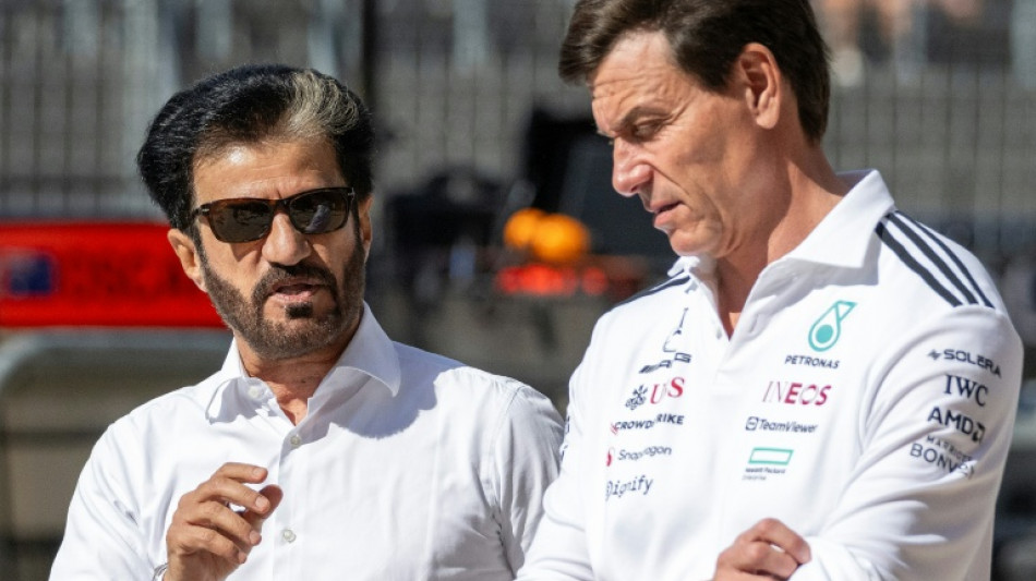 FIA taken to court to block Ben Sulayem's uncontested candidacy