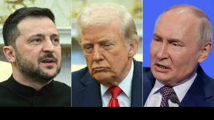 Trump prop&otilde;e que EUA assuma controle de usinas nucleares ucranianas
