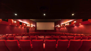 #siamoaititolidicoda, "il cinema festeggia ma il lavoro non c'è"