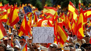 Grande manifestação em Madri contra o governo de Pedro Sánchez