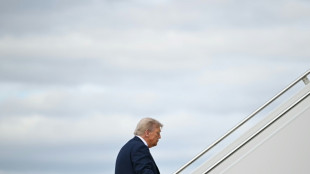 Trump quiere suprimir el voto por correo en EEUU