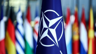 Nato ber&auml;t auf Krisensitzung &uuml;ber russischen Angriff auf Ukraine