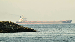 Garantizar la seguridad en el estrecho de Ormuz: t&aacute;cticas y amenazas