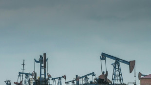 P&eacute;trole: l'Opep+ reste prudente et augmente modestement sa production