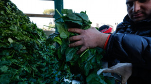 Le imprese puntano a 527.000 assunzioni a gennaio, -0,6%