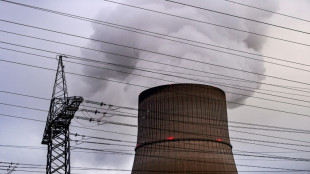 Umfrage: Mehrheit der Deutschen f&uuml;r R&uuml;ckkehr zur Atomkraft