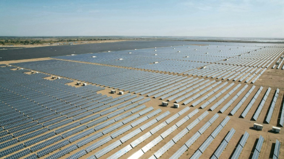 China emissions could fall in 2024 on renewables jump